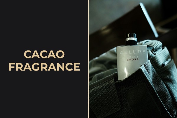cacao fragrance