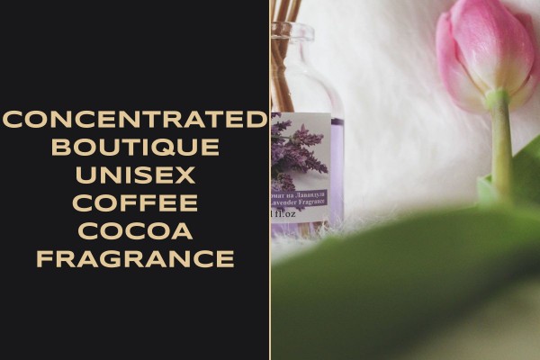 concentrated boutique unisex coffee cocoa fragrance