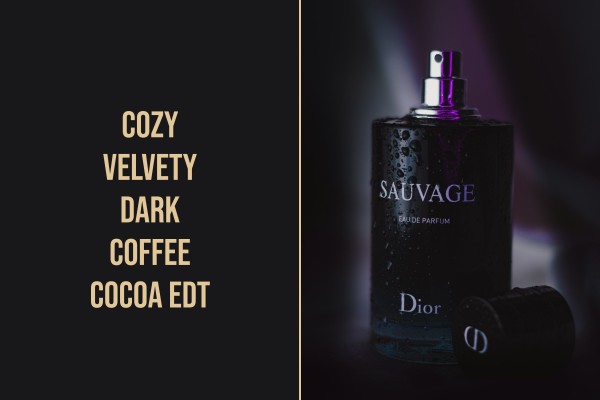 cozy velvety dark coffee cocoa edt