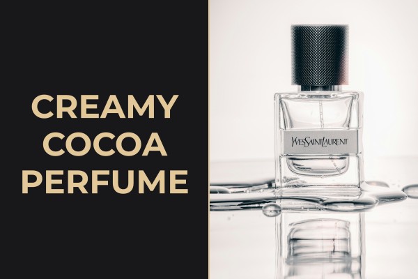 creamy cocoa perfume