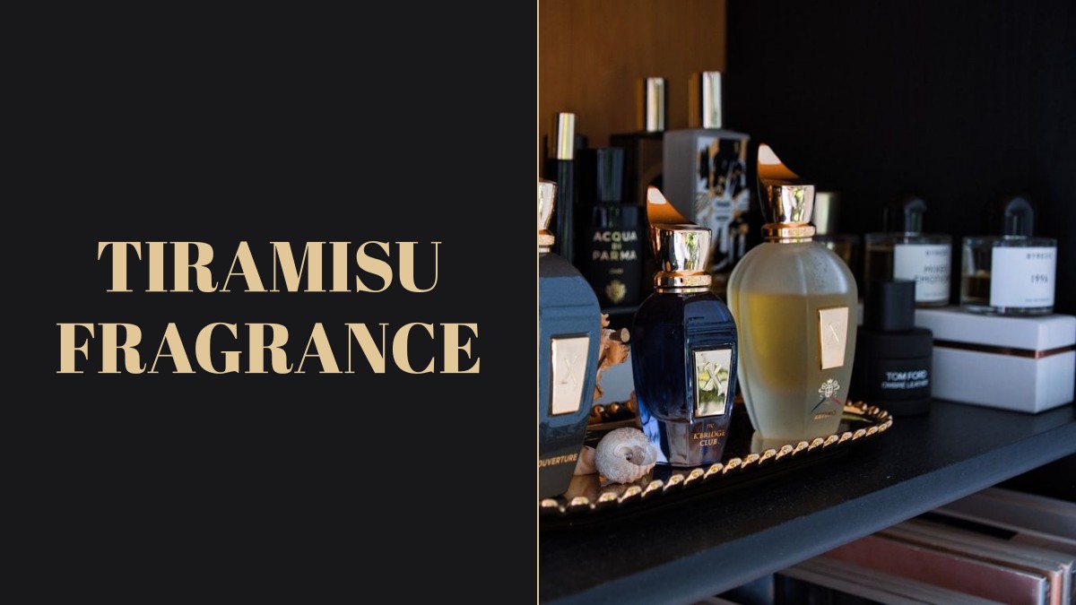 tiramisu fragrance