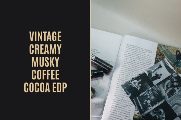 vintage creamy musky coffee cocoa edp