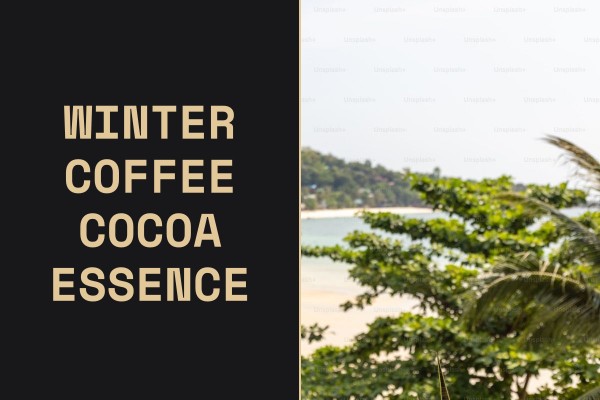 winter coffee cocoa essence